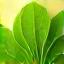 Eco-Conscious Cleaning